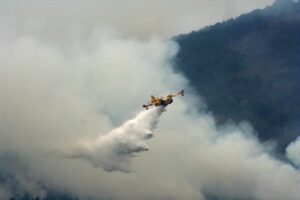 Πέντε συλλήψεις σε ένα 24ωρο για εμπρησμούς – Ο ένας έκανε ηλεκτροκόλληση, ο άλλος μπάρμπεκιου