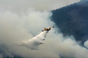 Εκτός ελέγχου η φωτιά στον Ορχομενό: Στη μάχη 105 πυροσβέστες και 13 εναέρια