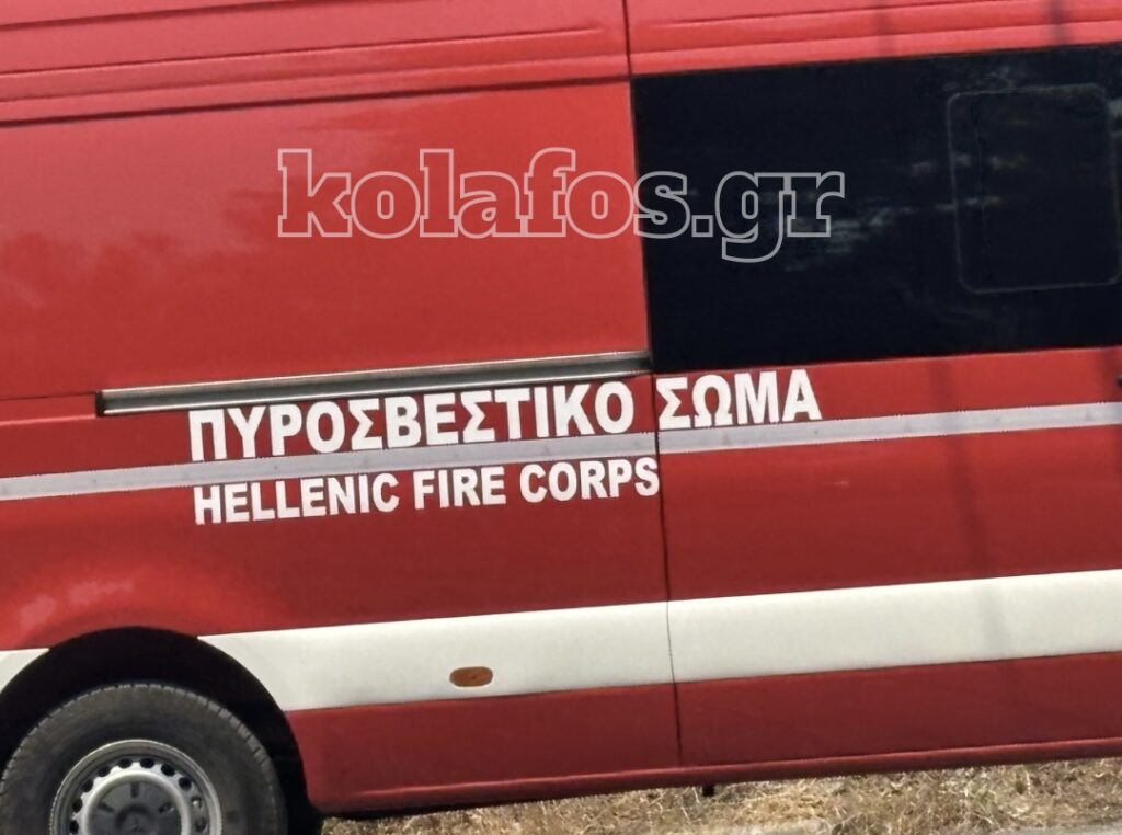 Φωτιά στη Χαλκιδική: Στο μικροσκόπιο δέντρο και καλώδια – Το σενάριο που εξετάζουν οι Αρχές
